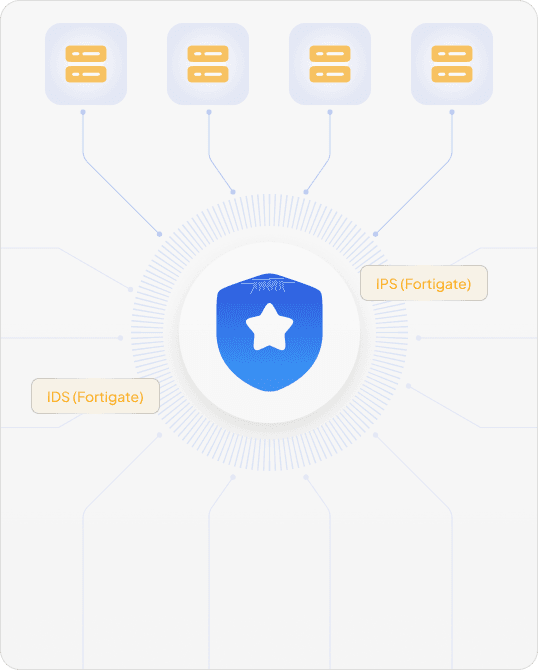 Protected Using IPS/IDS (Fortigate)